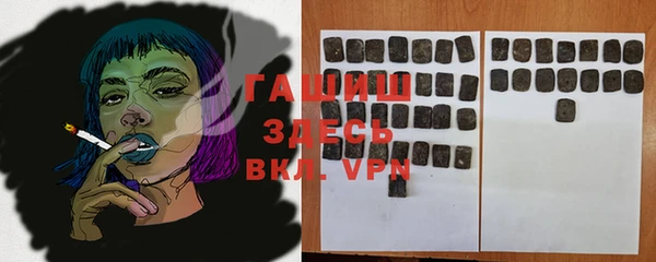 гидра Покачи