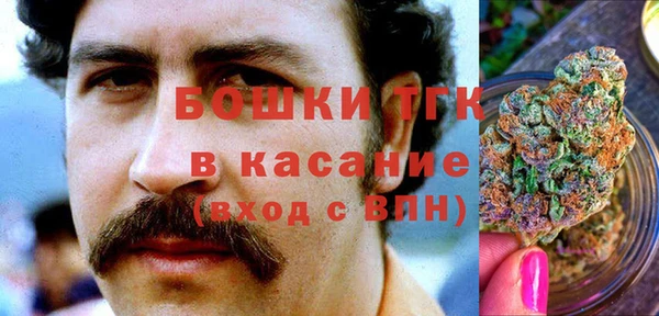 гидра Покачи