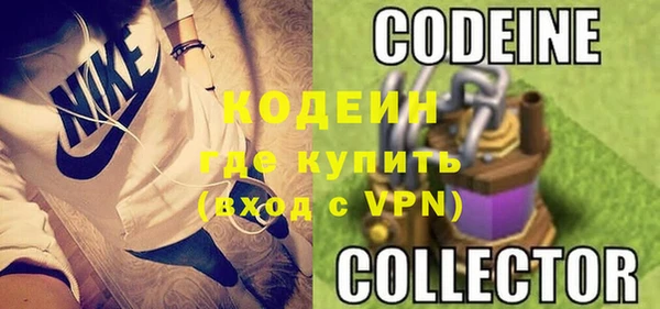 гидра Покачи