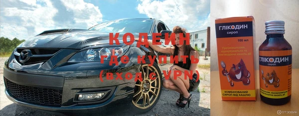 гидра Покачи