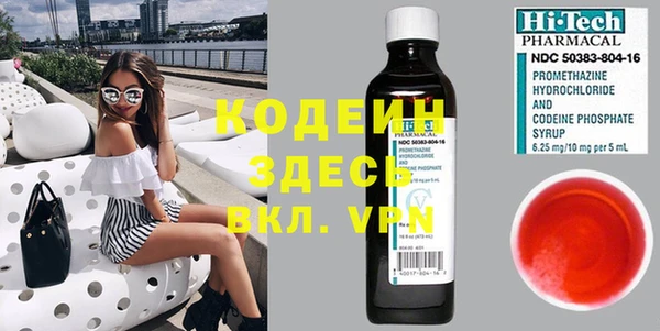 гидра Покачи
