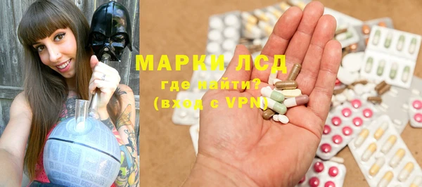 гидра Покачи