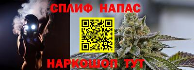 mdpv Можга