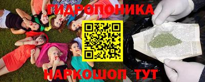 хмурый Аргун