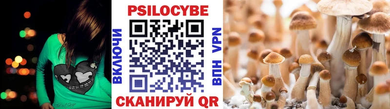 Псилоцибиновые грибы прущие грибы  Купить где  Полевской 
