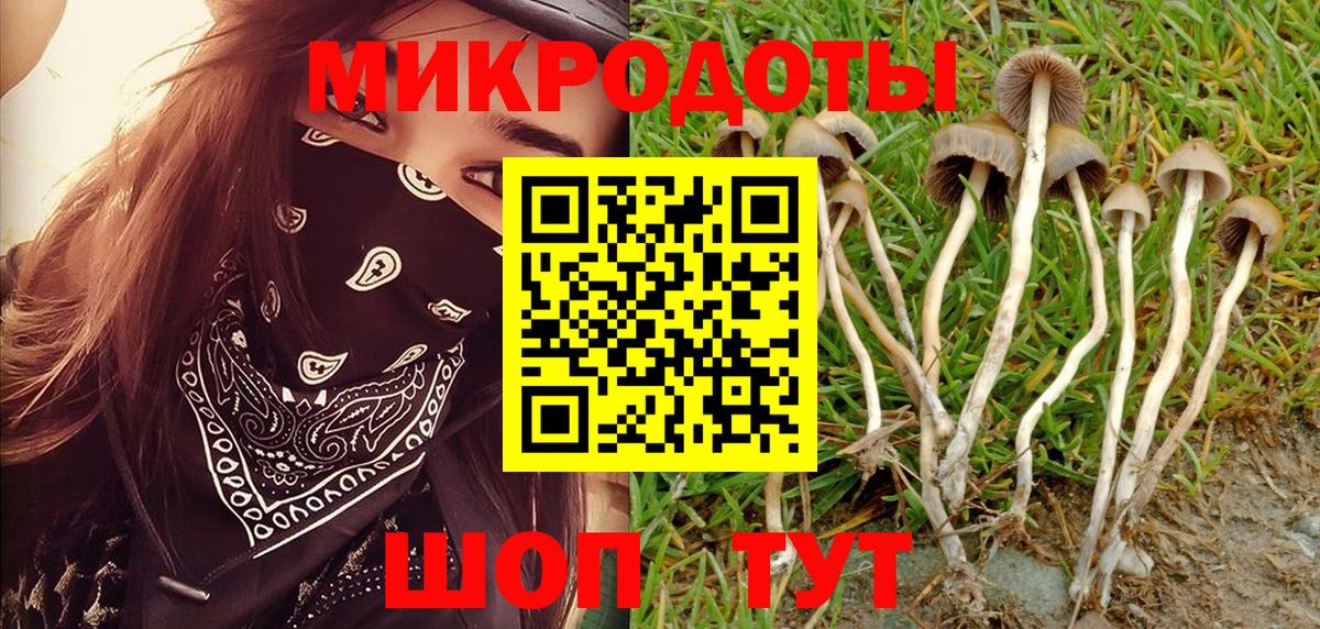 Полевской  Псилоцибиновые грибы мицелий  Вход с VPN 